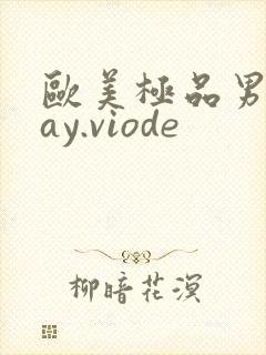 欧美极品男男gay.viode封面