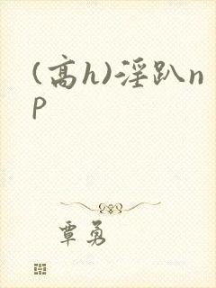 (高h)淫趴np