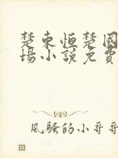 楚东恒楚国威官场小说免费阅读封面