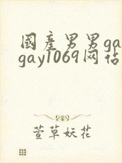 国产男男gaygay1069网站