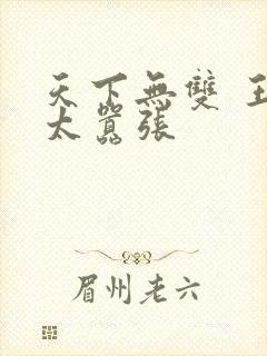 天下无双 王妃太嚣张