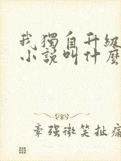 我独自升级原著小说叫什么