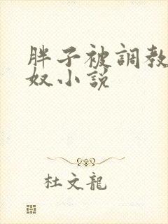 胖子被调教成肉奴小说