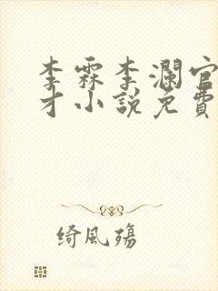 李霖李澜官场奇才小说免费阅读