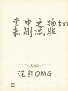 掌中之物txt未删减版