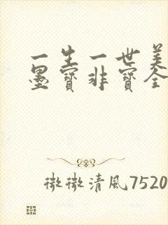 一生一世美人骨墨宝非宝全本阅读封面