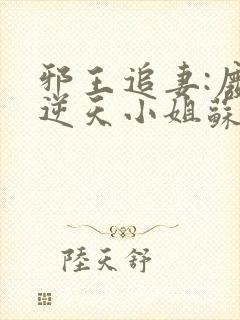 邪王追妻:废材逆天小姐苏落南宫流云