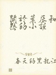 关于叶辰和萧初然的小说封面