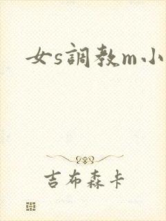 女s调教m小说