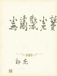 小清欢小说全文无删减免费阅读封面