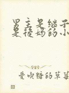 男主是继子女主是后妈的小说