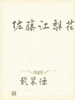 佐藤江梨花封面