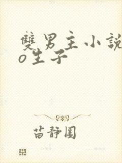 双男主小说abo生子