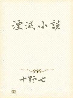 湮灭小说
