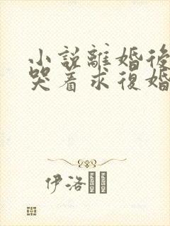 小说离婚后前夫哭着求复婚在线阅读