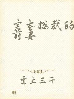 完本总裁的替身前妻
