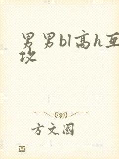 男男bl高h互攻