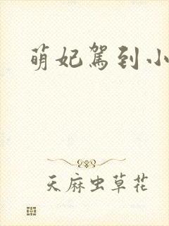萌妃驾到小说
