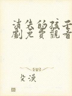 消失的孩子电视剧免费观看全集在线播放封面