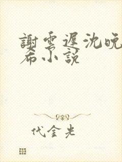 谢云迟沈晚梨叶希小说