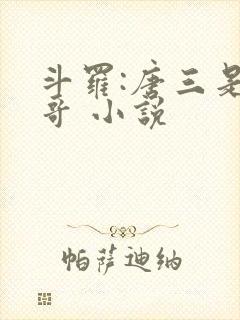 斗罗:唐三是我哥 小说封面
