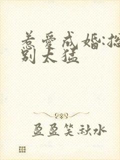 惹爱成婚:总裁别太猛