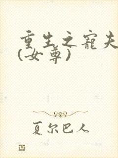 重生之宠夫无度(女尊)