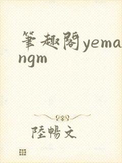 笔趣阁yemangm