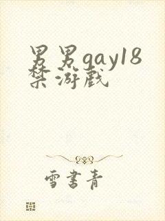 男男gay18禁游戏