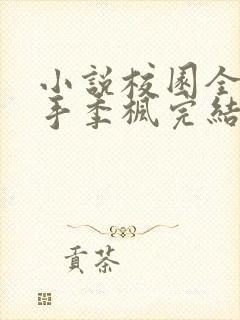 小说校园全能高手季枫完结版