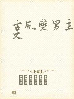 古风双男主高干文