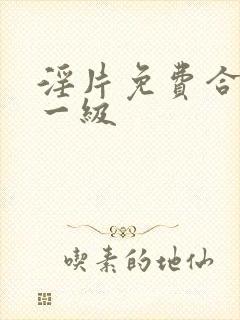 淫片免费合国产一级