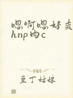 嗯啊嗯好爽啊高hnp肉c