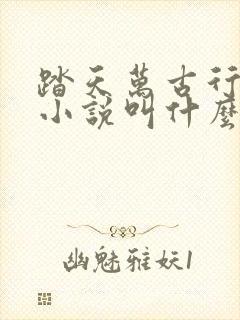 踏天万古行原著小说叫什么名字