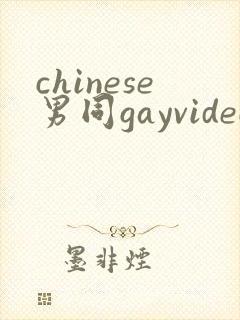 chinese男同gayvideo封面