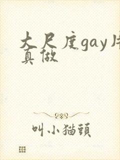 大尺度gay片真做封面