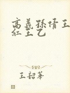 高义孙倩王申美红王乙封面