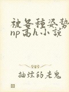 被各种姿势玩弄np高h小说