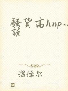 骚货高hnp小说
