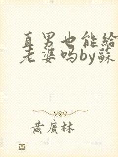 直男也能给人当老婆吗by苏晨笔趣阁封面