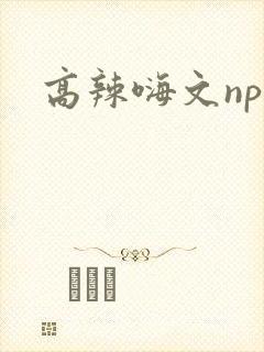 高辣嗨文np