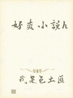 好爽小说h