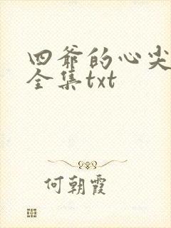 四爷的心尖宠妃全集txt封面