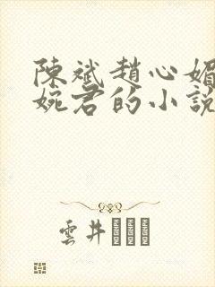 陈斌赵心媚和高婉君的小说免费阅读