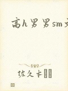 高h男男sm文