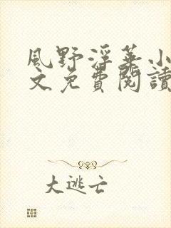 风野浮华小说全文免费阅读无弹窗