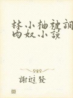 林小柚被调教成肉奴小说