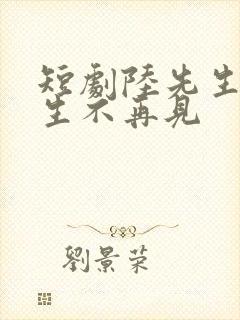 短剧陆先生,余生不再见封面