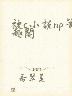 被c小说np笔趣阁