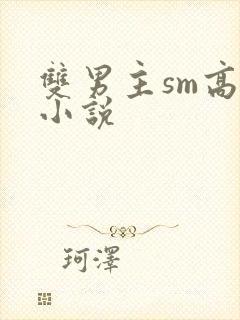 双男主sm高h小说